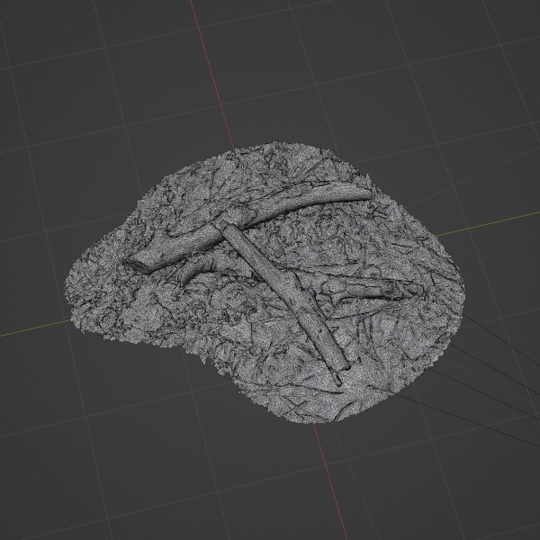 Tree Trunk 002