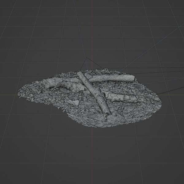 Tree Trunk 002