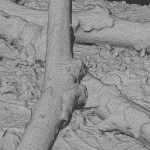 Tree Trunk 002