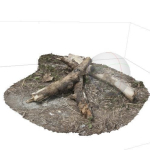 Tree Trunk 002