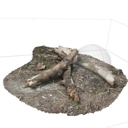 Tree Trunk 002