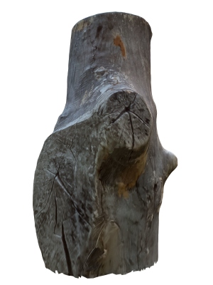 tree-trunk-22-3d-model-max-obj-fbx