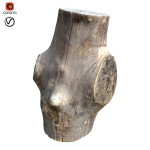 tree trunk 22