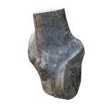 tree trunk 22