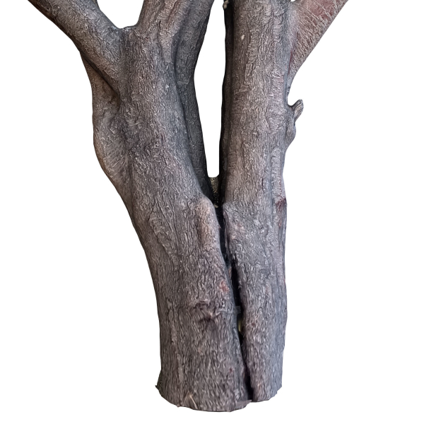 tree trunk 41