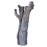 tree trunk 41