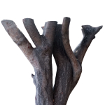 tree trunk 41