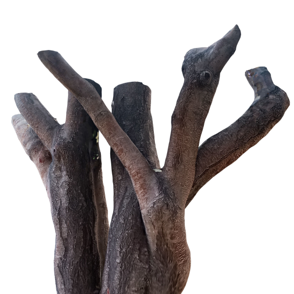 tree trunk 41