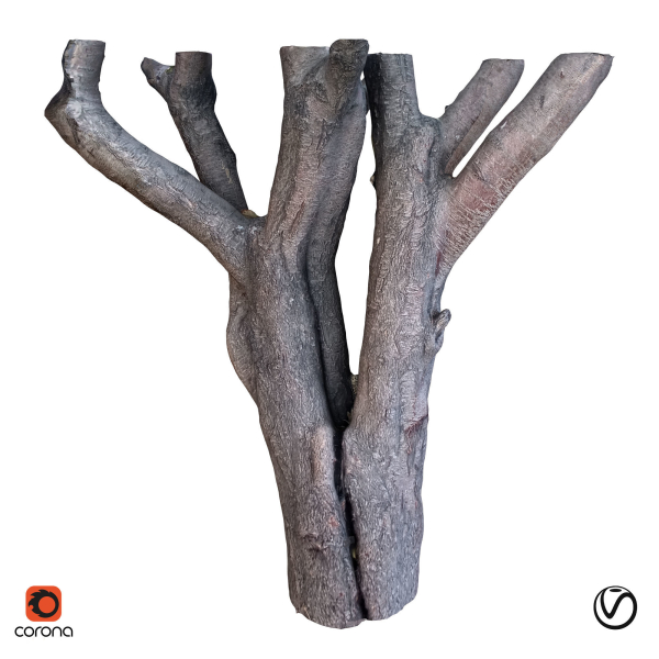tree trunk 41