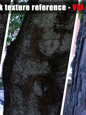 tree-trunk-texture-reference-vol-02-3d-model