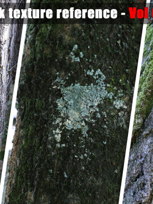 Tree trunk texture reference - Vol 02