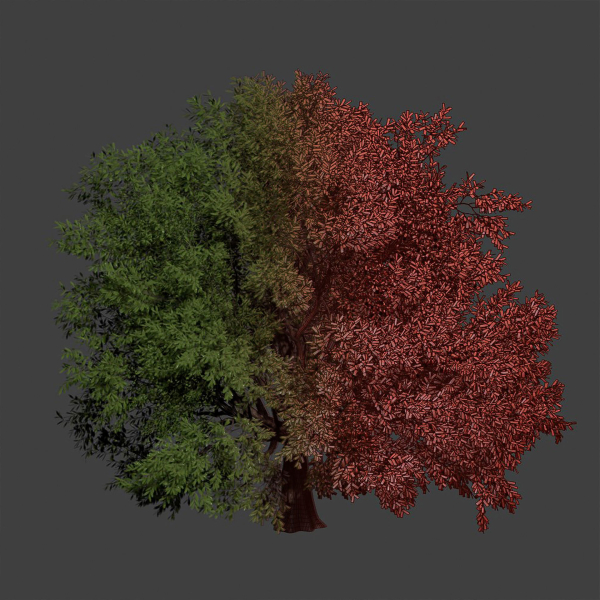 Tree vol 214-Blender