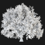 Tree vol 214-Blender