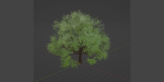Tree vol 214-Blender