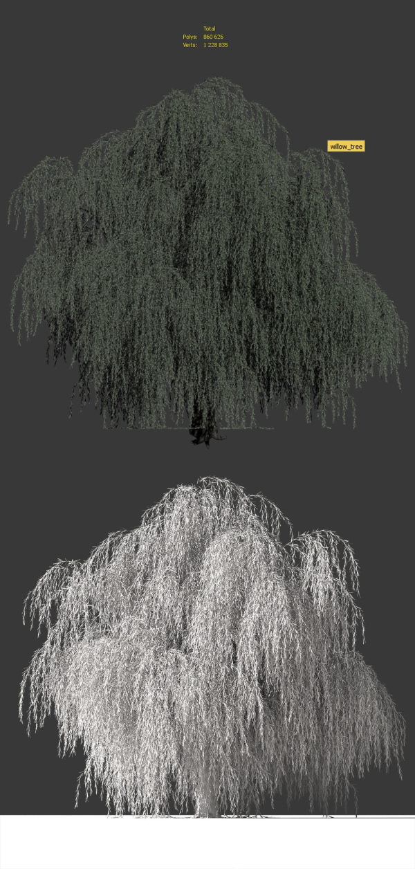 Tree Willow