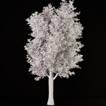 tree01 tree