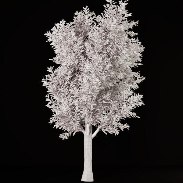 tree01 tree