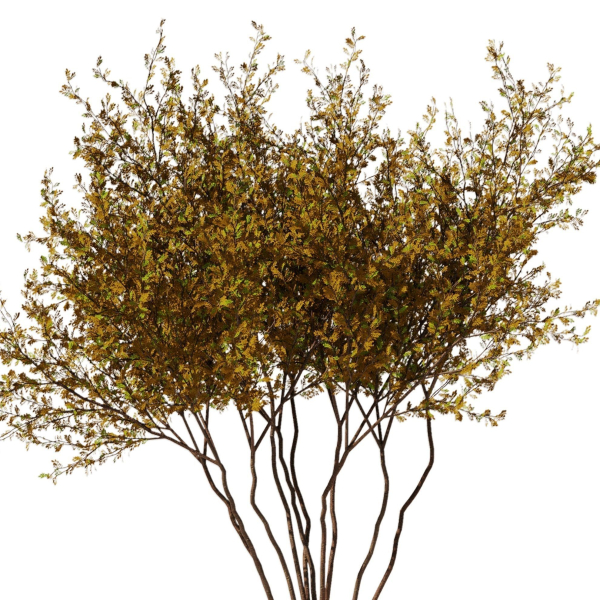 tree8 - autumn