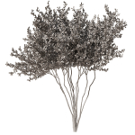 tree8 - autumn