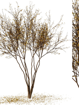 tree9 - autumn leaf