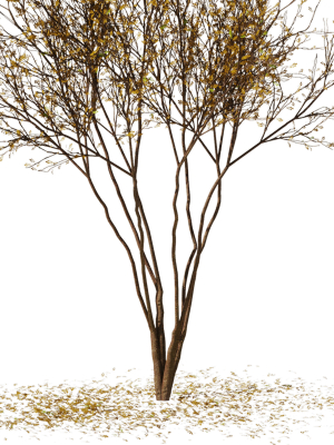 tree9-autumn-leaf-3d-model-975936916c