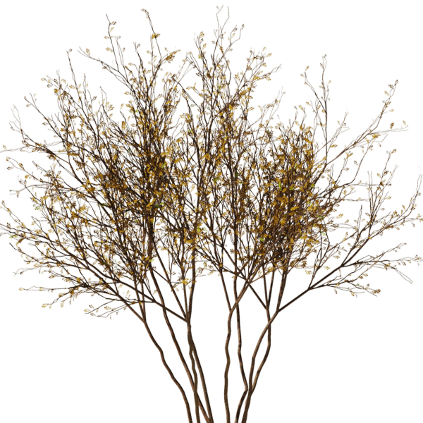 tree9 - autumn leaf