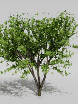 trees-3d-model-4b3165f8eb