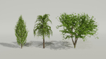 Trees
