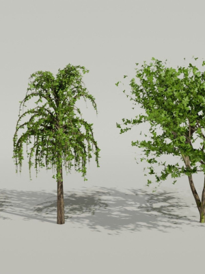 Trees