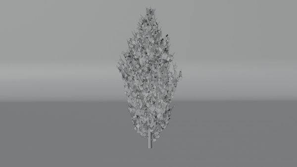Trees