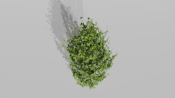 Trees