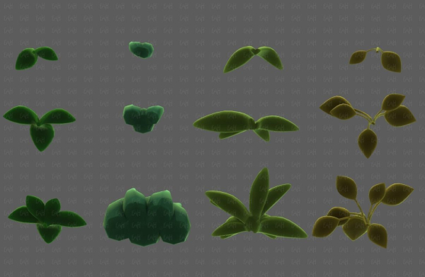 Trees Cartoon V41