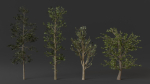 trees collection