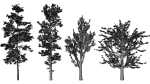 trees collection