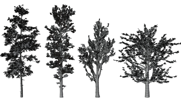 trees collection