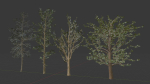 trees collection