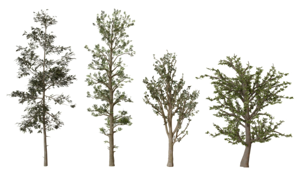 trees collection