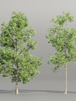 Trees collection vol 189-Blender