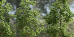 Trees collection vol 189-Blender
