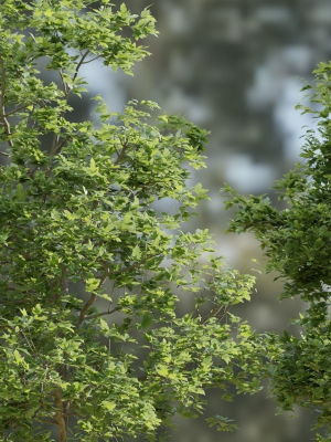 trees-collection-vol-189-blender-3d-model-3d5ebb6de4