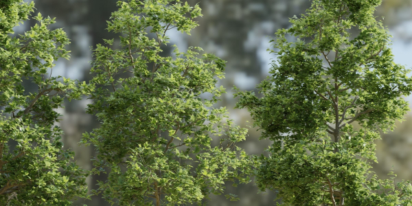 Trees collection vol 189-Blender