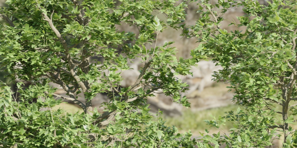 Trees collection vol 189-Blender