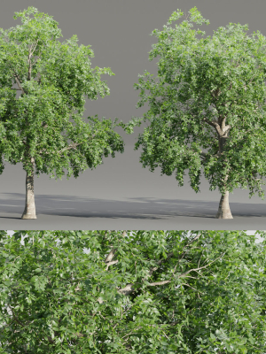 Trees collection vol 238-Blender