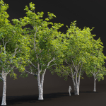 Trees collection vol 247-3dmodel