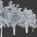 Trees collection vol 247-3dmodel