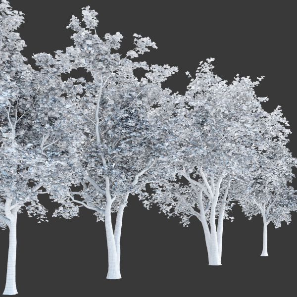 Trees collection vol 247-3dmodel