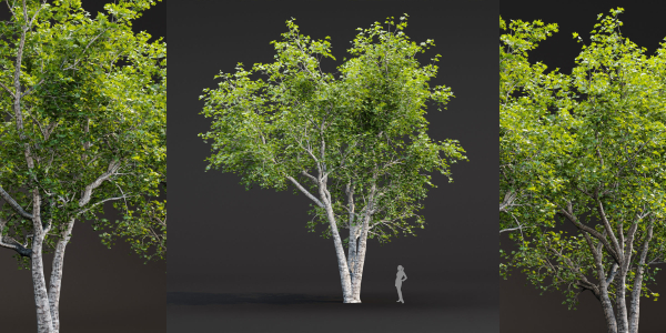Trees collection vol 247-Blender