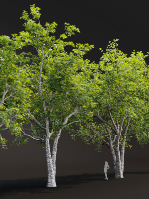 trees-collection-vol-247-blender-3d-model-4beddbd654