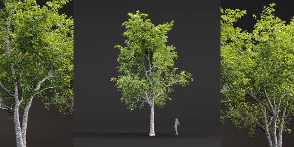 Trees collection vol 247-Blender