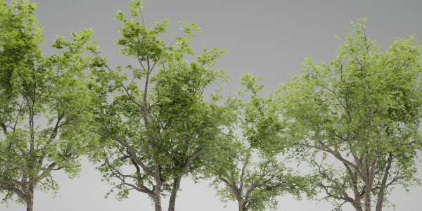 Trees collection vol 247-Blender